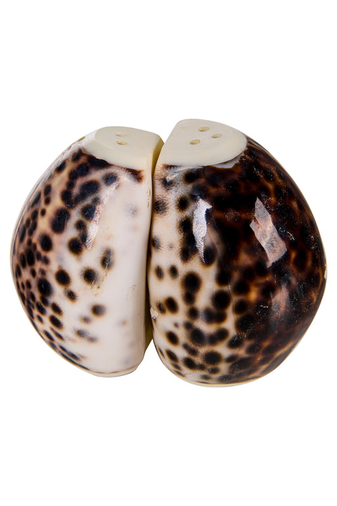 Spotted Shells - Sale E Pepe