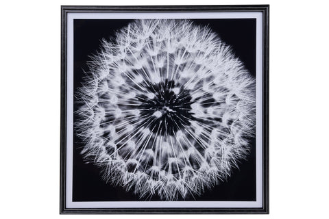 Galería - Impresión de diente de león en blanco y negro