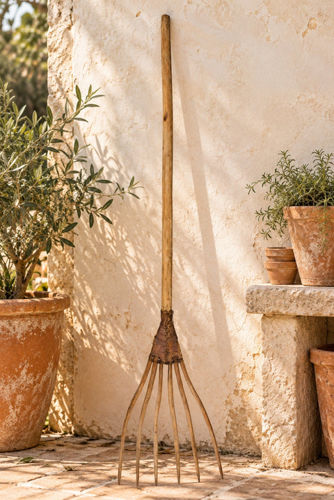 RASTRELLO GIARDINO – ambientazione