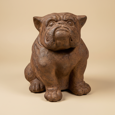 Bulldog cemento effetto corten sfondo neutro