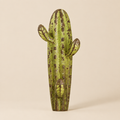 Cactus su sfondo beige tenue con ombra