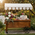 Carrello gelati lifestyle