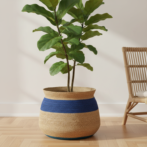 Cesta Pancia Rafia Blu - Ambientata