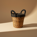 Cesta water hyacinth sfondo neutro