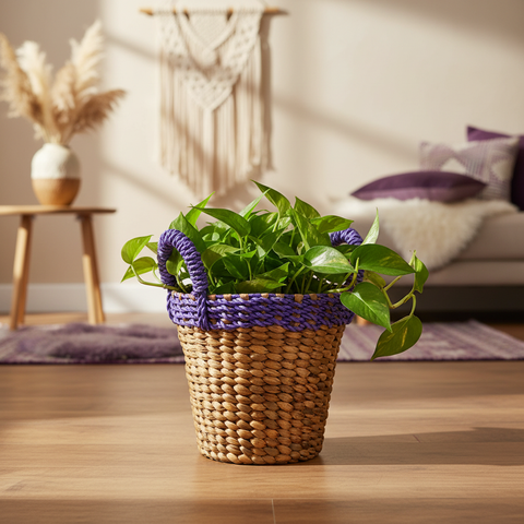 Cesta water hyacinth viola ambientata