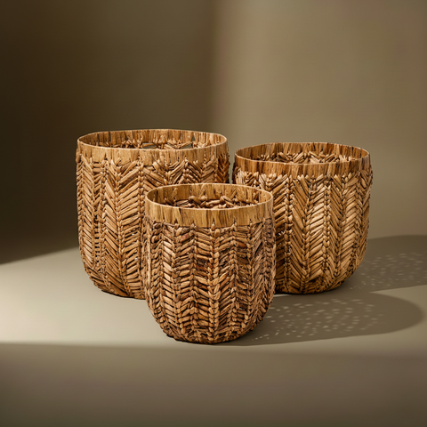 Ceste banana leaf sfondo taupe