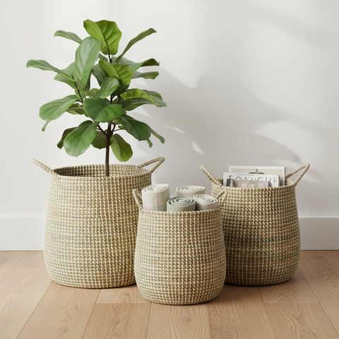 Ceste seagrass lifestyle