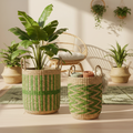 Ceste seagrass verde ambientata