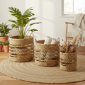 Ceste water hyacinth aperte lifestyle