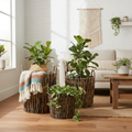 Ceste Weaves con manici in ambiente