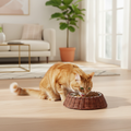 Ciotola pet polirattan mocha lifestyle