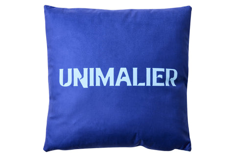 UNIMALIER - CUSCINO BLUE 50X50  DISEGNO ZEBRA MARINA