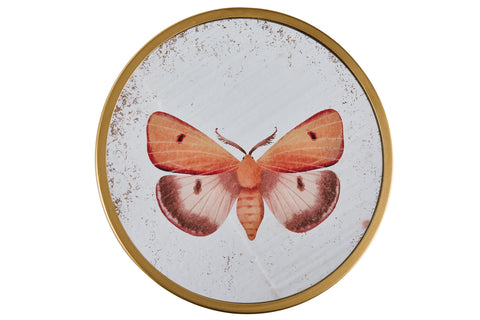 ALHOA - DECOR SPECCHIO CON PITTURA FARFALLA ARANCIO BEIGE