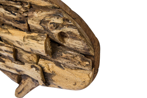 SALUDOS - PESCE DOCRATIVO DA APPENDERE