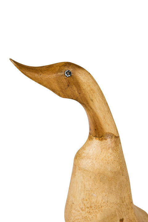 ENCANTADO - PAPERA LEGNO