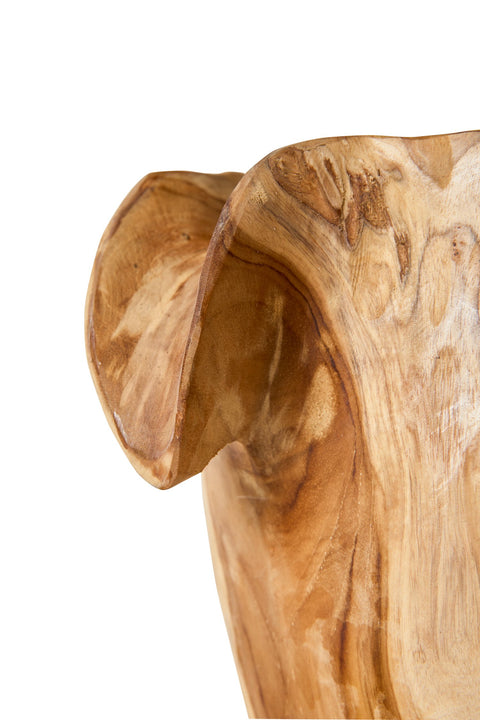 RUSH WAVES - CIOTOLA RADICA SCAVATA