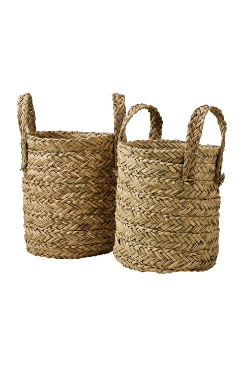 HARICOTS - CESTE SET 1/2