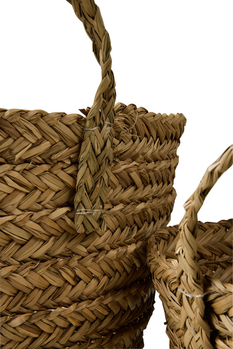 HARICOTS - CESTE SVASATE SET 1/2 CON MANICI