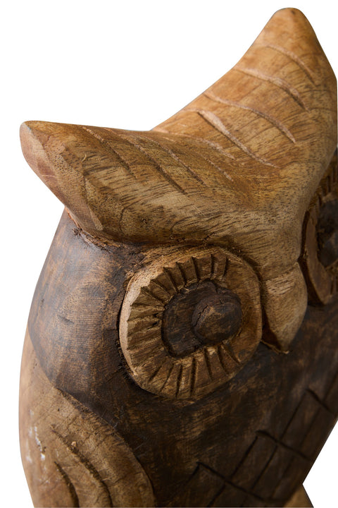 TCHAOU - CIVETTA MARRONE