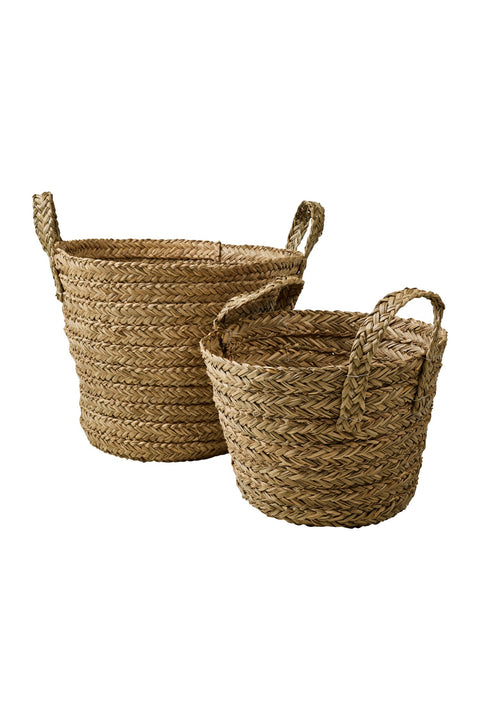 HARICOTS - CESTE SVASATE SET 1/2 CON MANICI