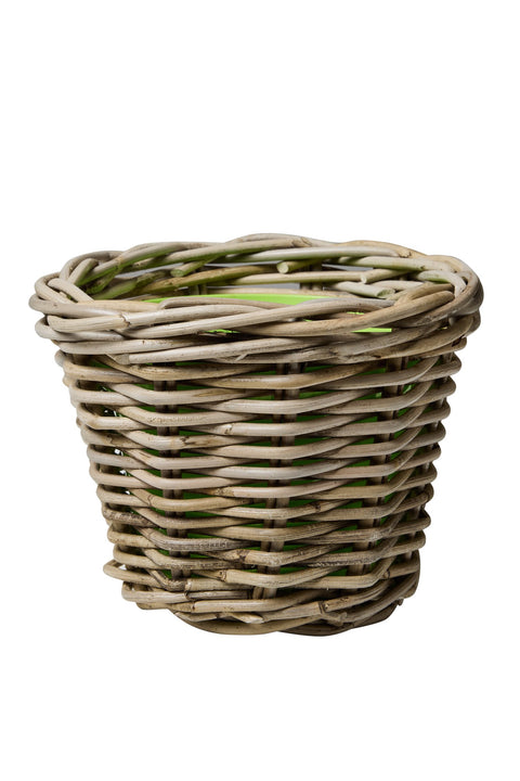 RUSH WEAVES - CESTA CACHET-POT CON VASO IN PLASTICA INTERNO