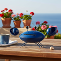 Granchio porta zampirone blu terrazza mediterranea