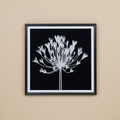 Quadro botanico su sfondo beige sabbia neutro