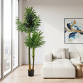 Kenzia artificiale in ambiente lifestyle