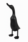 Papera nera con occhio corretto