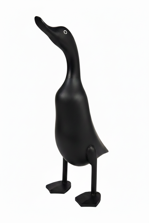 Papera nera con occhio corretto