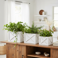 Set fioriere legno bianco ambientate con piante