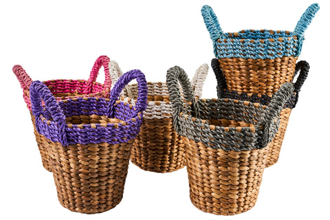 Spring - Purple Border Basket