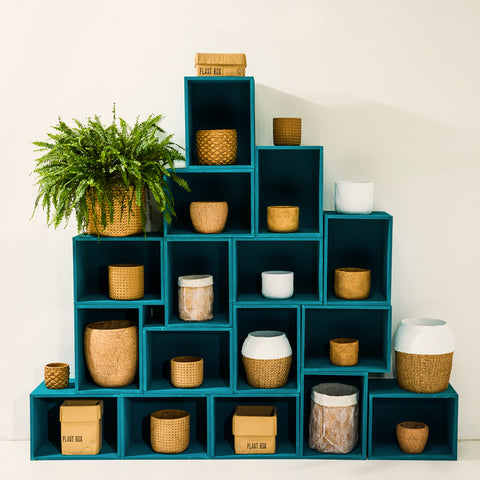 Novita-home-box-cement--vaso-disegno-imballo-scatola-cartone-19x21x17-cn-34