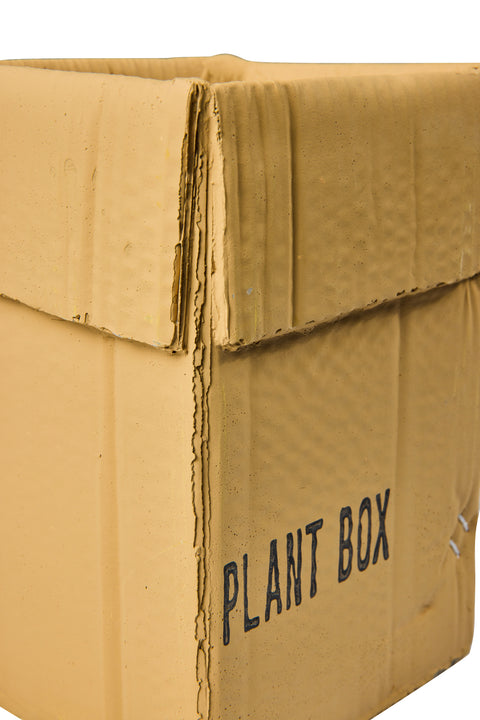 Novita-home-box-cement--vaso-disegno-imballo-scatola-cartone-17x13,5x22-cn-35